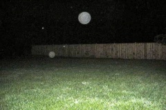 IMG_0358