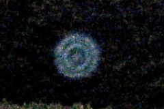 IMG_0381